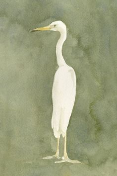 a watercolor painting of a white bird standing on the ground in front of a dark green background