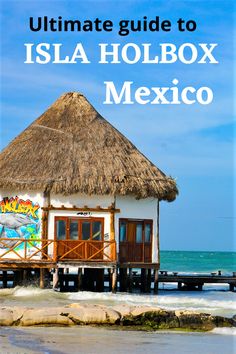 the ultimate guide to island holbox mexico