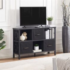 a living room with a large television on top of a wooden shelf next to a plant