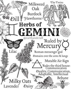 a poster with the words and symbols for different things to see in this image, including flowers