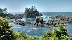 an island in the ocean surrounded by trees