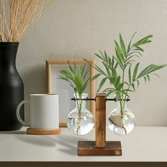 two vases with plants in them sitting on a table next to a coffee cup