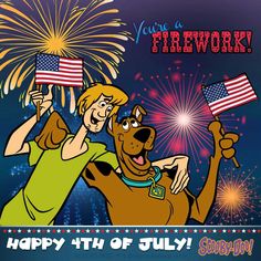 an image of a man and his dog celebrating fourth of july with fireworks in the background