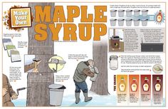 an article about maple syrup is featured in the magazine