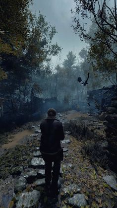 a man standing in the middle of a forest looking at birds flying over rocks and trees