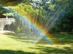 a sprinkler is spraying water in the yard