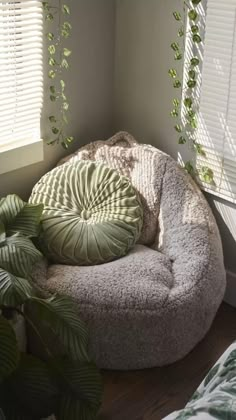 a round chair with a green pillow on it next to a potted plant and window