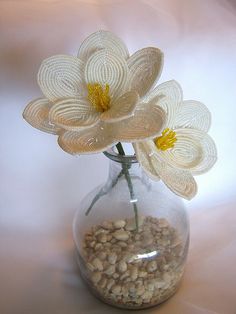 two white flowers in a glass vase filled with rocks and gravel on a light background