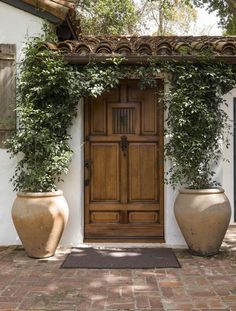 two large planters sitting next to each other near a wooden door with an arch