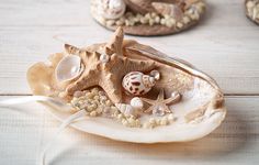 shells and seashells are arranged on a white table