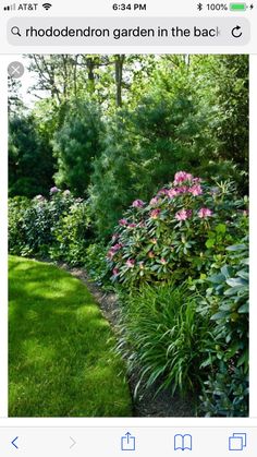 a lush green garden with pink flowers and trees in the background, along side a path