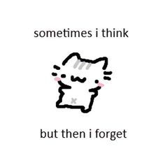 an image of a cat that says sometimes i think but then i forget