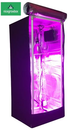 an image of a purple light in a grow box