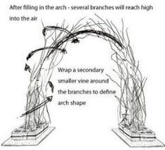 an arch made out of branches with words describing how to use it in the garden