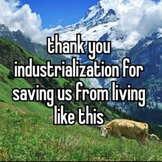 a cow standing on top of a lush green hillside next to a mountain with the words thank you industrialization for saving us from living like this