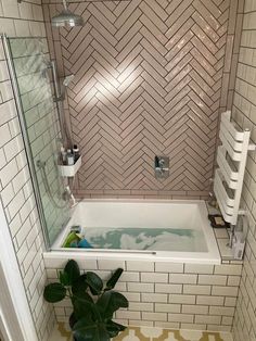 a bathroom with a bathtub, towel rack and plant in the corner next to it