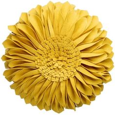 a yellow flower on a white background