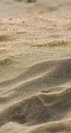 a bird standing on top of a sandy beach