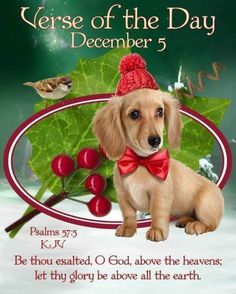 a small dog wearing a red bow tie sitting in front of a green leaf with berries on it