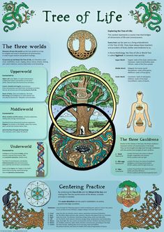 Nordic Tree Of Life, Poster Infographic, Nordic Tree, Celtic Pagan, Magia Das Ervas, Spiritual Journals, Infographic Poster, Wiccan Spell Book