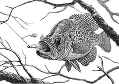 a fish with its mouth open sitting on a branch