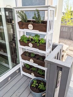 the herb garden is on display outside