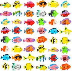 many different colored fish on a white background