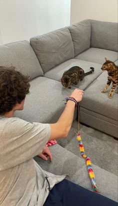 a man is playing with two cats on the couch