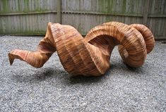 a wooden sculpture made to look like an animal's tail and head, sitting on gravel