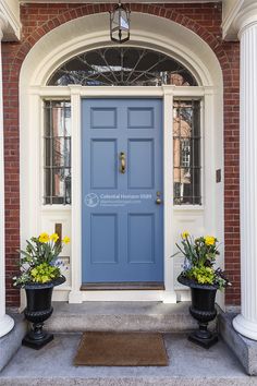 two planters with yellow flowers sit in front of a blue door