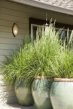 three large planters sitting on the side of a house with grass growing in them