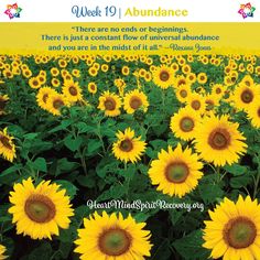 a field of sunflowers with a quote about abundance