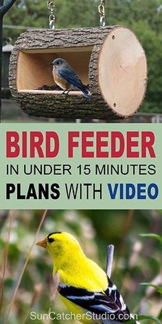 bird feeder in under 15 minutes plans with video