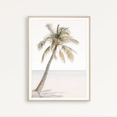 a palm tree on the beach in front of a white wall with a wooden frame