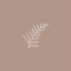 a drawing of a leaf on a brown background