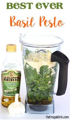 the best ever basil pesto recipe in a blender and ingredients to make it