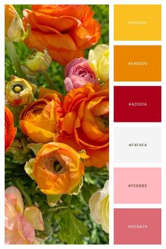 the color palette is red, orange, yellow and pink with different flowers in it