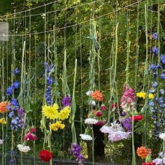 many different colored flowers are hanging from a wire above a fence in front of some trees