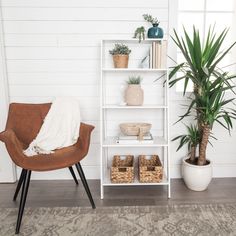 a room with a chair, potted plant and bookshelf on the wall