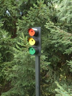 the traffic light is red, yellow and green in front of some pine tree's