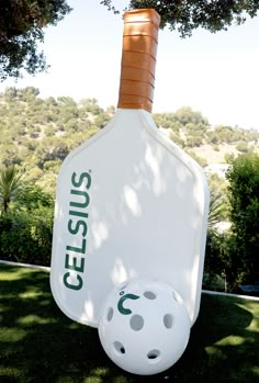 Energy drink brand CELSIUS and YouTube star David Dobrik produced a pickleball-themed activation with celeb guests, photo ops, branded merch, and a bracket-style tournament. Pickleball Event Ideas, Pickleball And Prosecco, Pickleball Decorations, Pickle Ball Graphic Design, Event Merch, Branded Merch