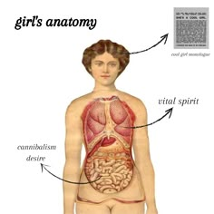 the female body is shown with labels on it