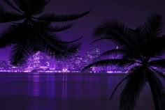 palm trees are silhouetted against the city skyline in this purple night time scene with lights reflecting on the water