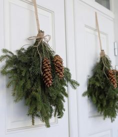 two pine cones hanging from the side of a door