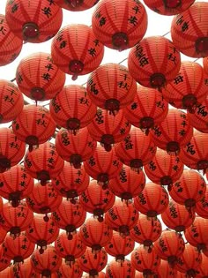 many red lanterns are hanging from the ceiling