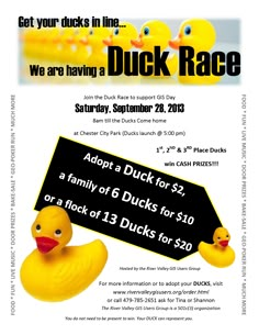 a flyer for duck race with rubber ducks