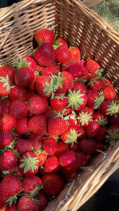 a basket full of strawberries sitting on the ground