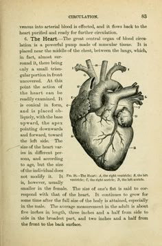 an old book with a diagram of the human heart and caption about it's functions