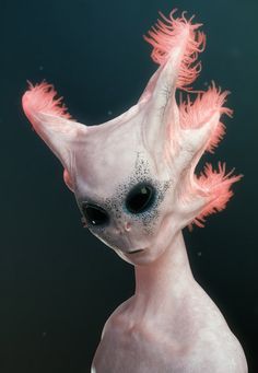 an alien cat with pink hair and black eyes