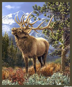 a painting of an elk standing in the woods